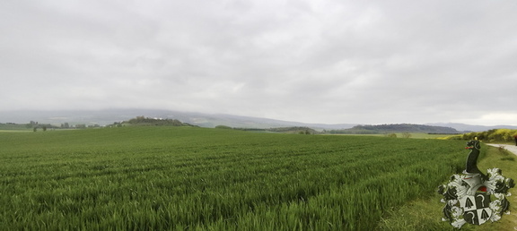 Camino Francés: Pamplona - Puente la Reina