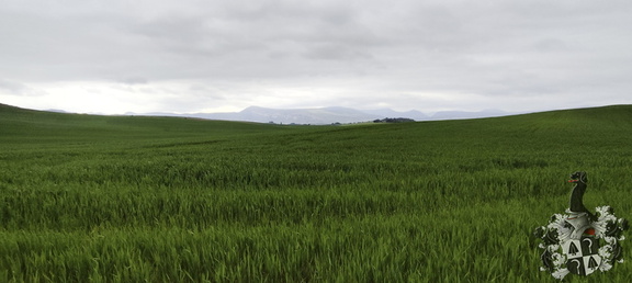 Camino Francés: Pamplona - Puente la Reina