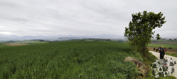 Camino Francés: Pamplona - Puente la Reina