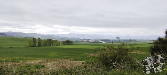 Camino Francés: Pamplona - Puente la Reina