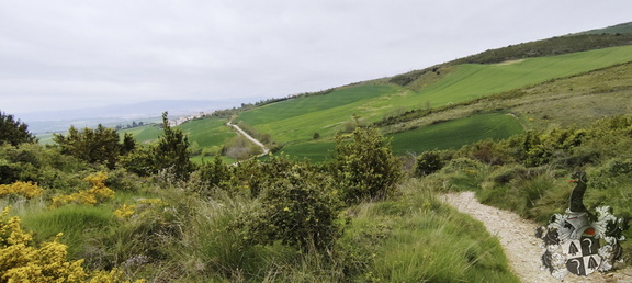 Camino Francés: Pamplona - Puente la Reina