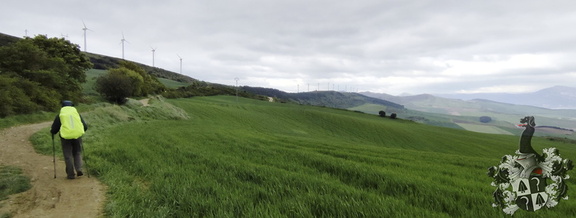 Camino Francés: Pamplona - Puente la Reina