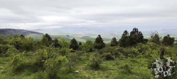 Camino Francés: Pamplona - Puente la Reina