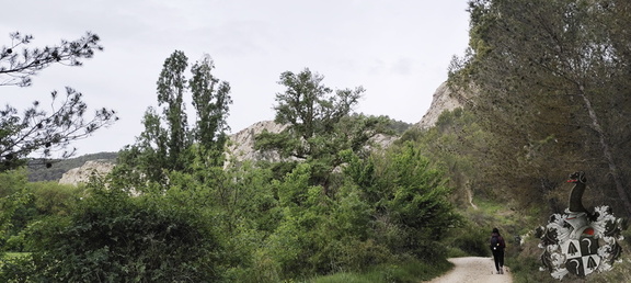 Camino Francés: Puente la Reina - Estella