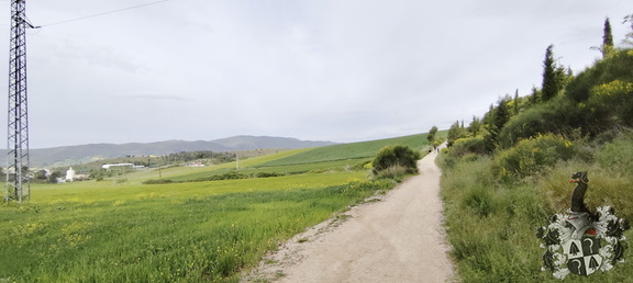 Camino Francés: Puente la Reina - Estella