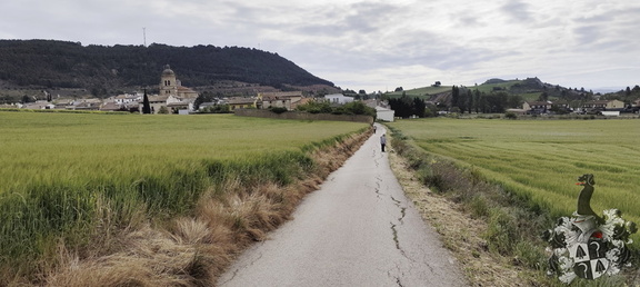 Camino Francés: Puente la Reina - Estella
