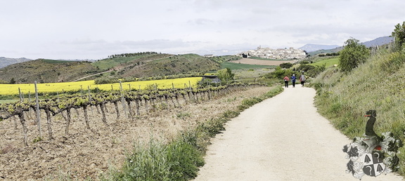 Camino Francés: Puente la Reina - Estella