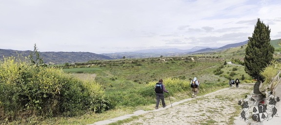 Camino Francés: Puente la Reina - Estella