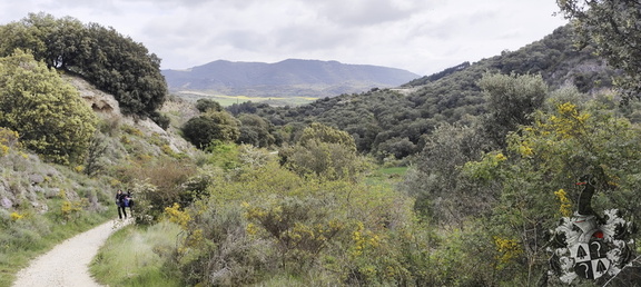 Camino Francés: Puente la Reina - Estella