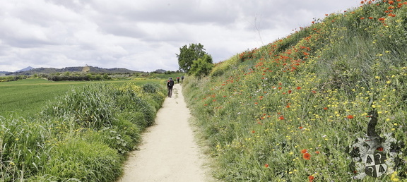 Camino Francés: Puente la Reina - Estella