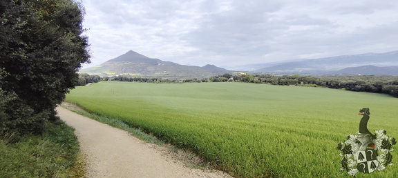 Camino Francés: Estella - Los Arcos