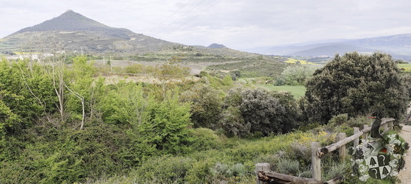 Camino Francés: Estella - Los Arcos
