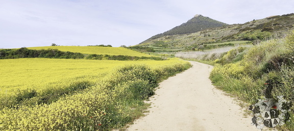 Camino Francés: Estella - Los Arcos