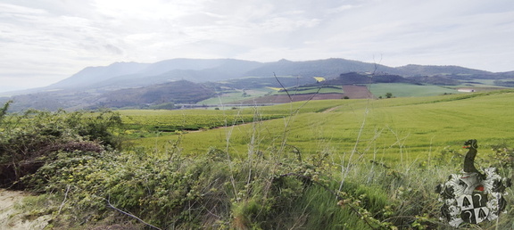 Camino Francés: Estella - Los Arcos
