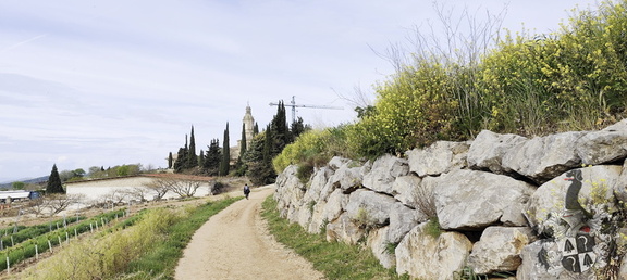 Camino Francés: Estella - Los Arcos