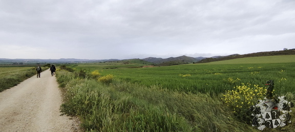 Camino Francés: Los Arcos - Viana