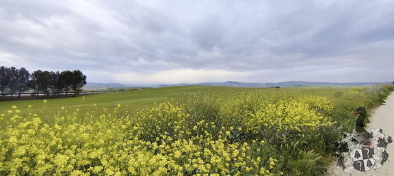 Camino Francés: Los Arcos - Viana