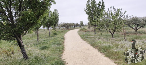 Camino Francés: Los Arcos - Viana