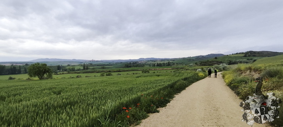 Camino Francés: Los Arcos - Viana