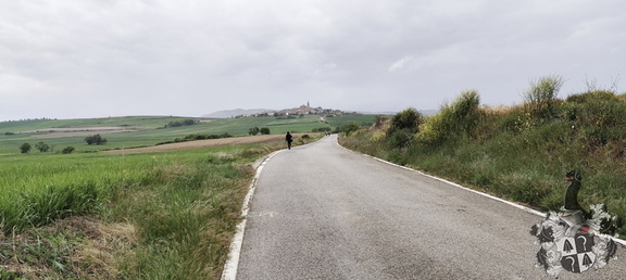 Camino Francés: Los Arcos - Viana