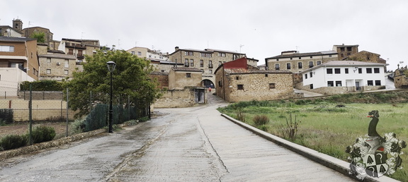 Camino Francés: Los Arcos - Viana