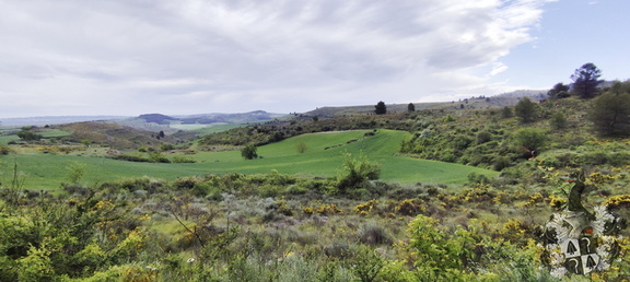 Camino Francés: Los Arcos - Viana