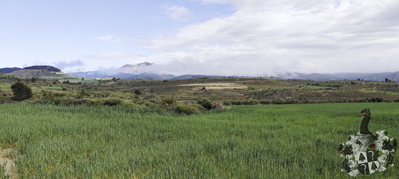 Camino Francés: Los Arcos - Viana