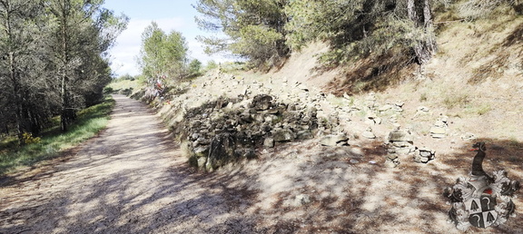 Camino Francés: Los Arcos - Viana