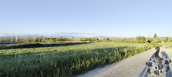 Camino Francés: Viana - Navarrete