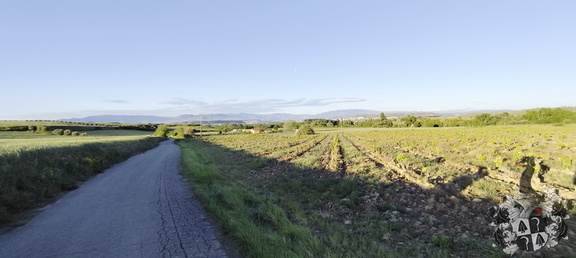 Camino Francés: Viana - Navarrete
