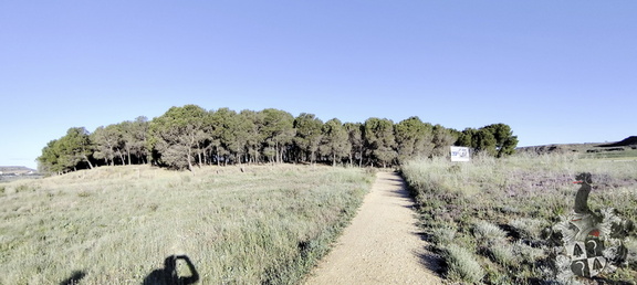 Camino Francés: Viana - Navarrete