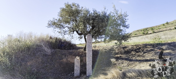 Camino Francés: Viana - Navarrete