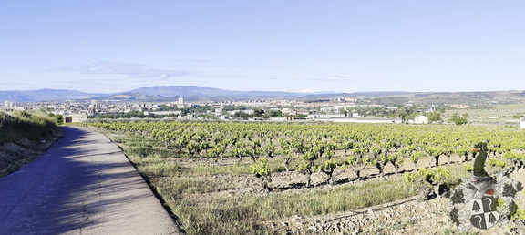 Camino Francés: Viana - Navarrete
