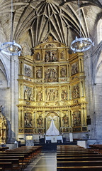Camino Francés: Viana - Navarrete