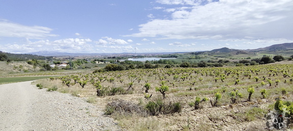 Camino Francés: Viana - Navarrete