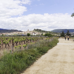 2024-04-28 - Camino Francés: Viana - Navarrete