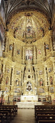 Camino Francés: Viana - Navarrete