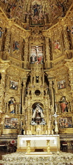 Camino Francés: Viana - Navarrete
