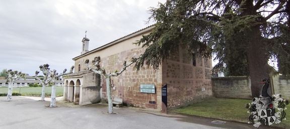 Camino Francés: Navarrete - Azofra