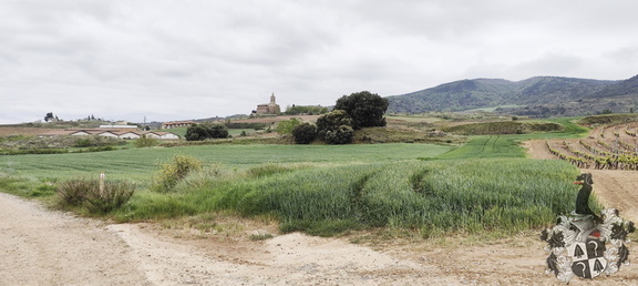 Camino Francés: Navarrete - Azofra