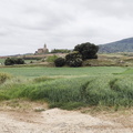 Camino Francés: Navarrete - Azofra