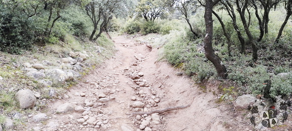 Camino Francés: Navarrete - Azofra