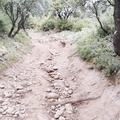 Camino Francés: Navarrete - Azofra