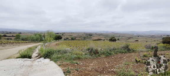 Camino Francés: Navarrete - Azofra