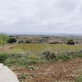 Camino Francés: Navarrete - Azofra