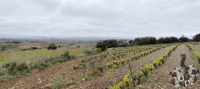 20240429-093328-0013-Navarrete-Azofra.jpg