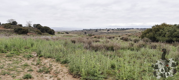 Camino Francés: Navarrete - Azofra