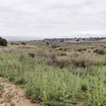 Camino Francés: Navarrete - Azofra
