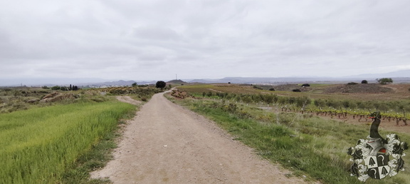 Camino Francés: Navarrete - Azofra
