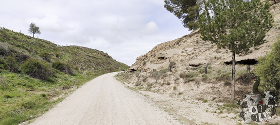 Camino Francés: Navarrete - Azofra